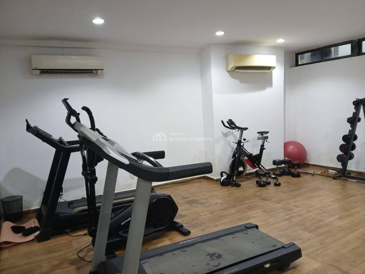 Furnished 3 Bedroom Apartment Bq, Ikoyi, Lagos, Flat / Apartment for Rent