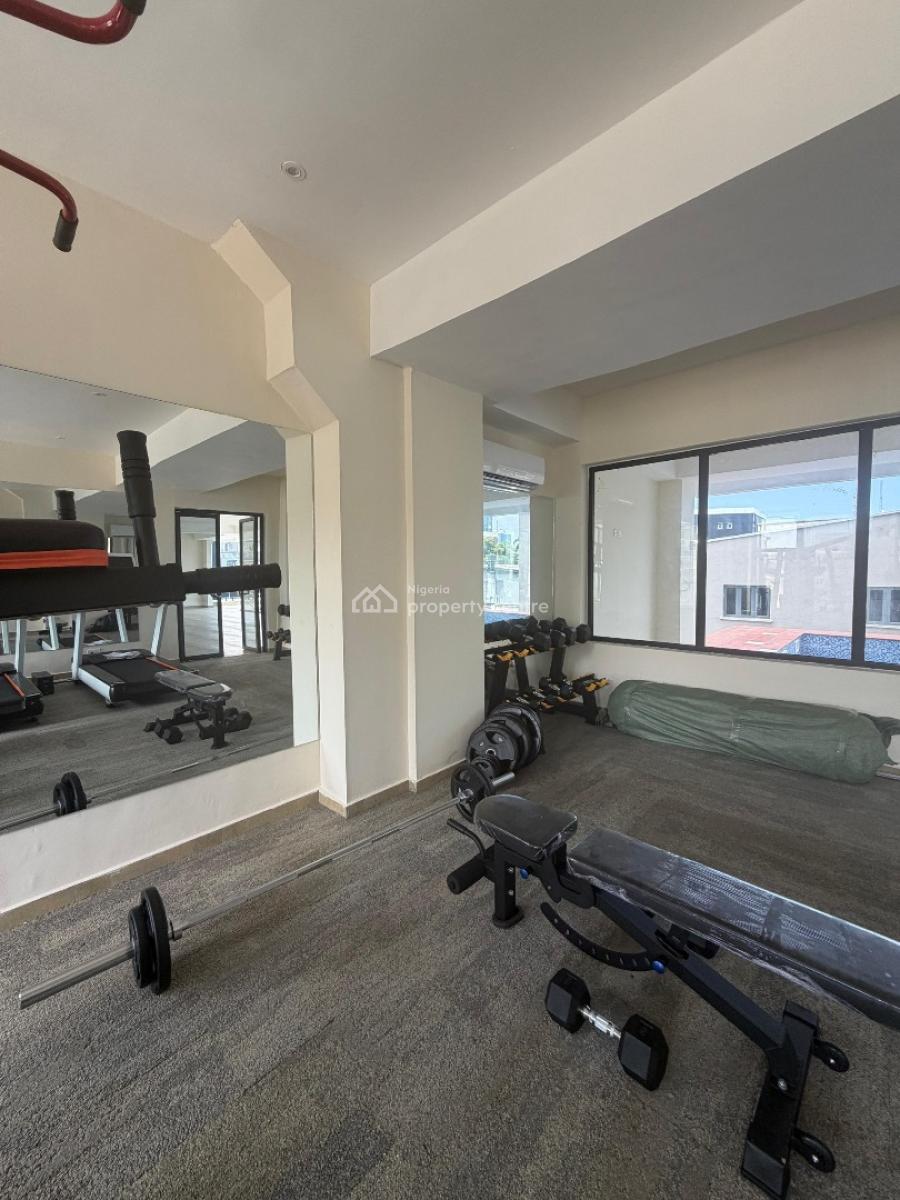 Luxury Furnished Miniflat + Swimming Pool, Gym, Elevator, Victoria Island (vi), Lagos, Mini Flat (room and Parlour) for Rent