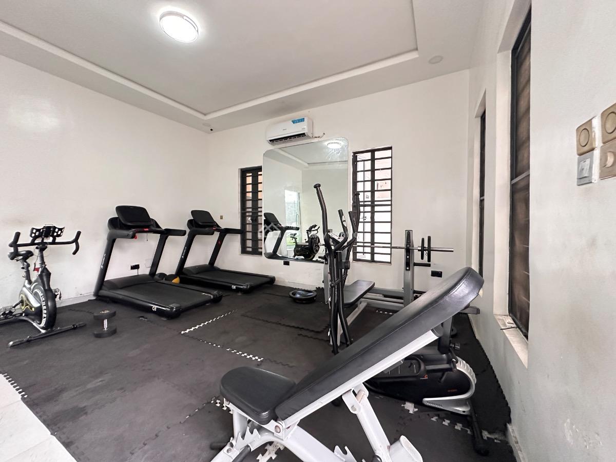 Tastely Furnished 4 Bedroom Terrace Duplex Available, Ikate, Lekki, Lagos, Terraced Duplex for Rent