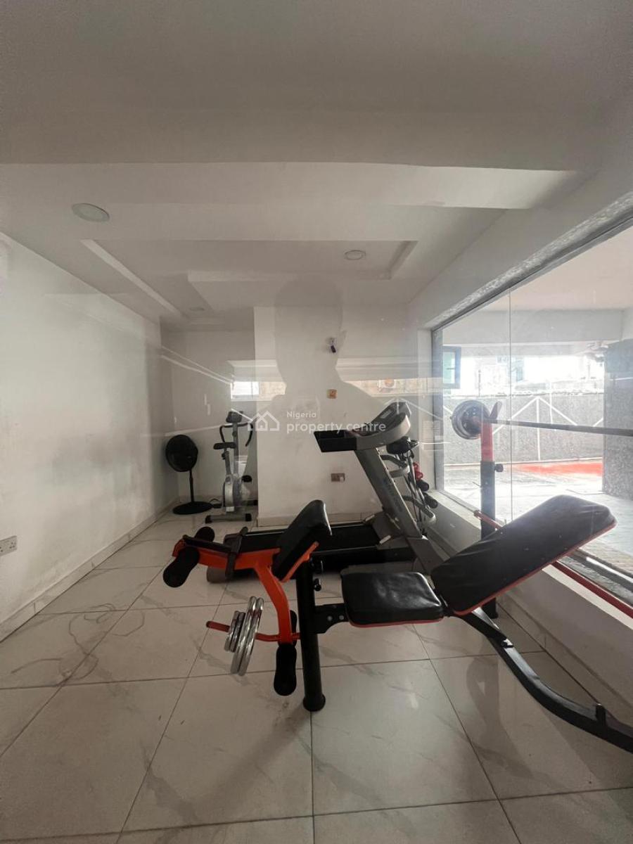 Magnificent 2 Bedroom Apartment with Elevator, Swimming Pool, Magnificent 2 Bedroom Apartment with Elevator, Swimming Pool, Ikate, Lekki, Lagos, Flat / Apartment for Sale