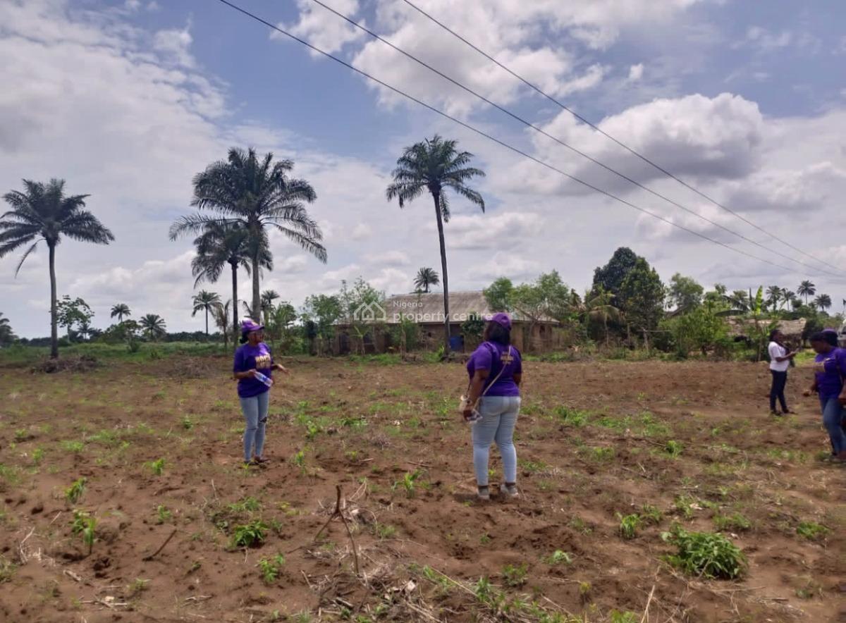 100% Dry Land Available @ Iyana School, Iyana Isashi, Iyana School, Iyana Isashi, Iba, Ojo, Lagos, Residential Land for Sale