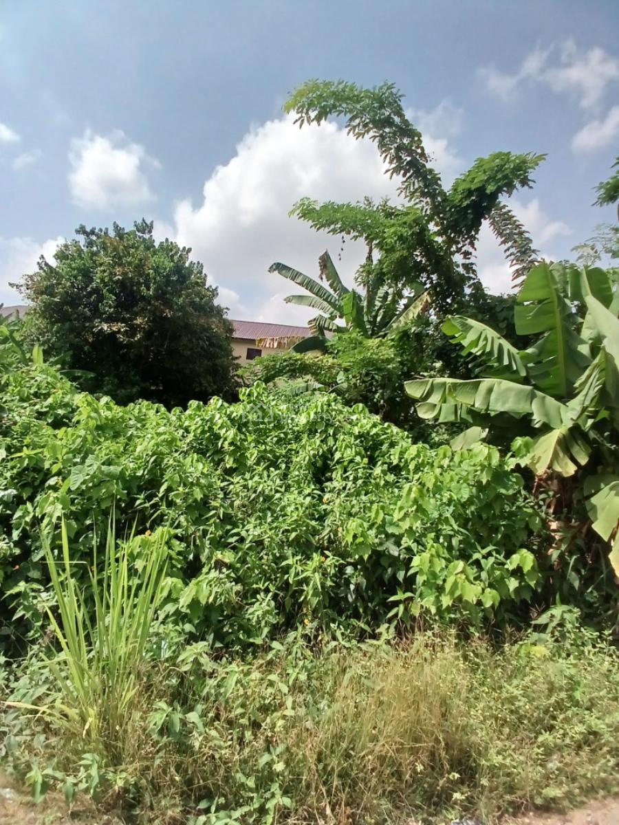 Land Measuring 460sm, Ikolaba Estate, Ibadan, Oyo, Residential Land for Sale