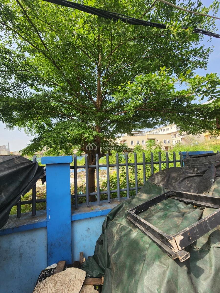 900sqm Land Available in a Good Area, Alagomeji, Alagomeji, Yaba, Lagos, Mixed-use Land for Rent