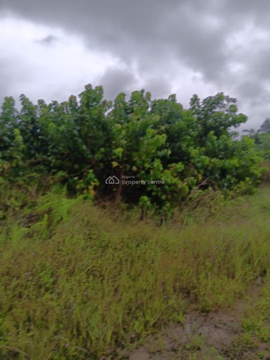 618 Sqm of Land, Ajayi Apata, Beside Fara Park Estate, Sangotedo, Sangotedo, Ajah, Lagos, Residential Land for Sale
