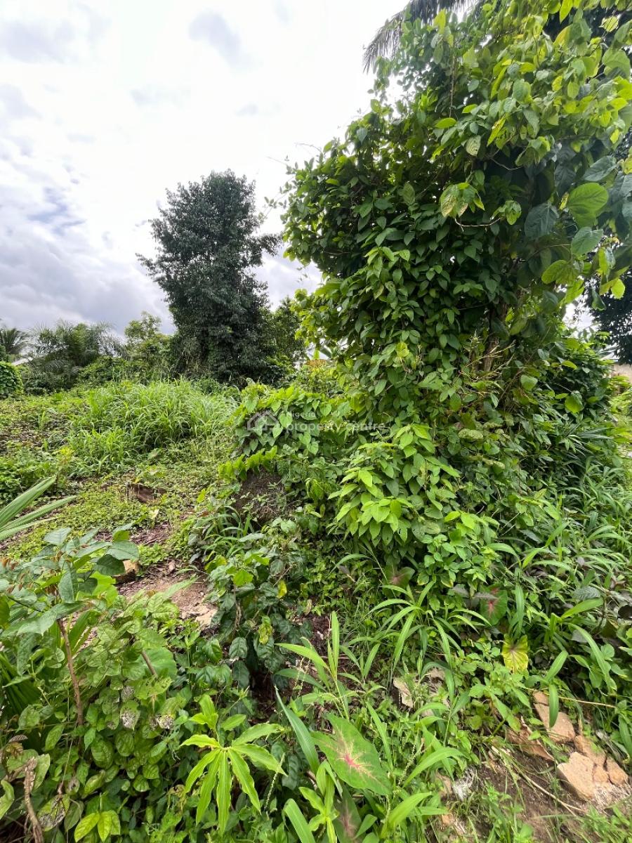 a Parcel of Dry Land, Behind Nellyani Estate Ifa Ikot Okpong, Uyo, Akwa Ibom, Residential Land for Sale