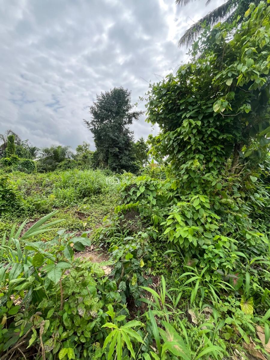a Parcel of Dry Land, Behind Nellyani Estate Ifa Ikot Okpong, Uyo, Akwa Ibom, Residential Land for Sale