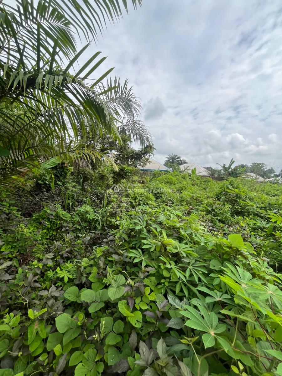 a Parcel of Land, Nung Ette, Uyo, Akwa Ibom, Residential Land for Sale