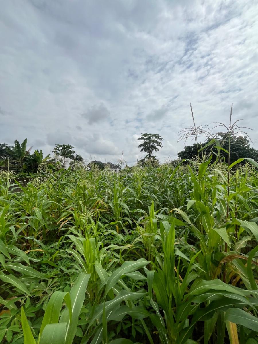 a Parcel of Land, Nung Ette, Uyo, Akwa Ibom, Residential Land for Sale