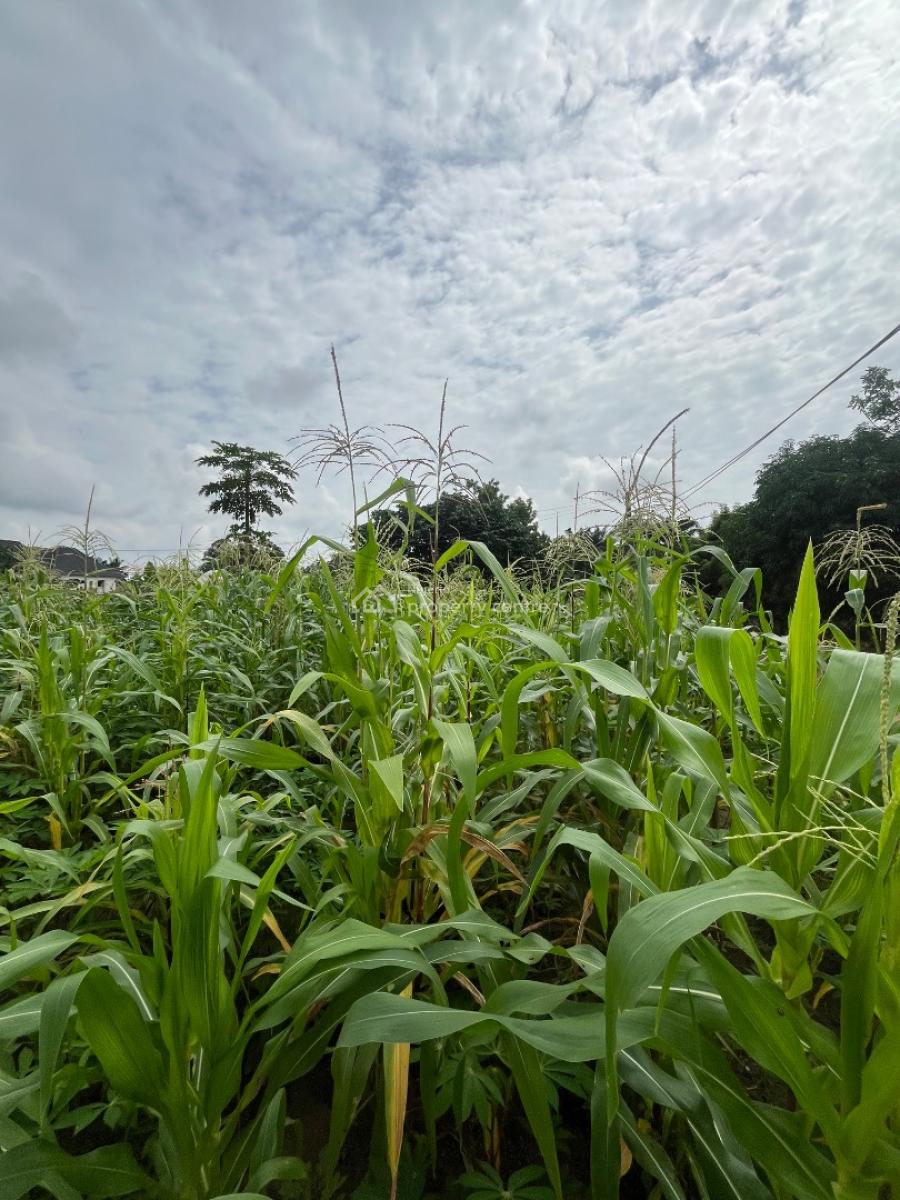 a Parcel of Land, Nung Ette, Uyo, Akwa Ibom, Residential Land for Sale