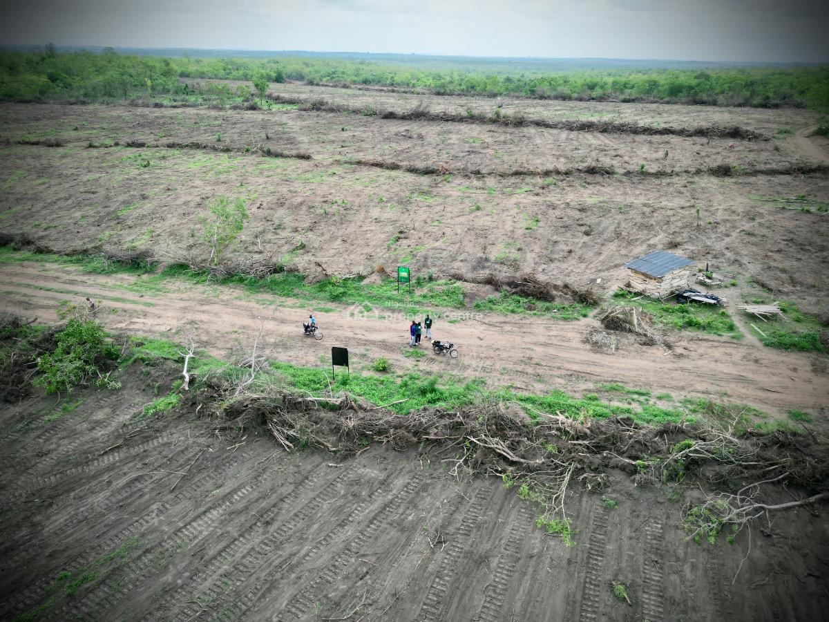 500k to Start Farming: 1 Acre with Free Seeds, Fertilizer + Borehole, Heritage Farm City Phase 2,alabata,near Funnab, Abeokuta South, Ogun, Commercial Land for Sale