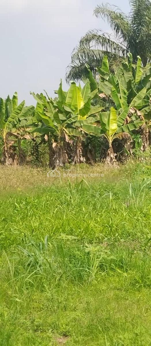 292 Acres of Farm Land at Ilara Mokin, Ilara Mokin, Akure, Ondo, Mixed-use Land for Sale