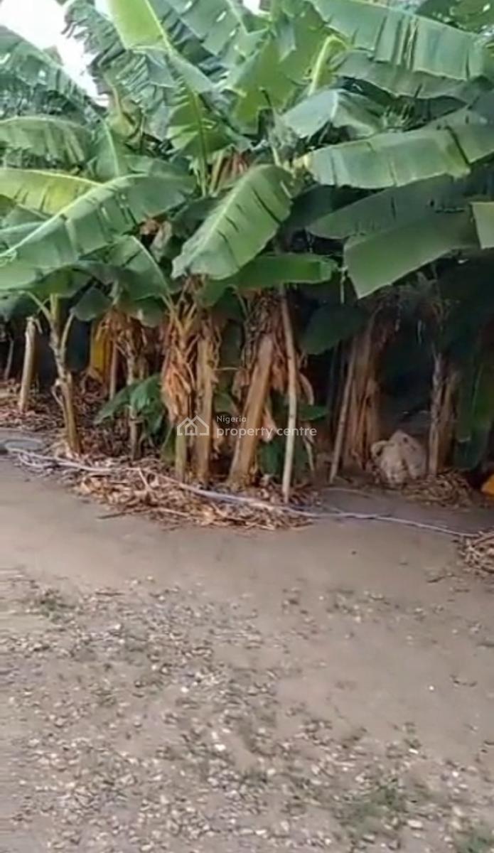 300sqmt of Bare Land at Aturase Estate, Atunrase Estate, Gbagada, Lagos, Land for Sale