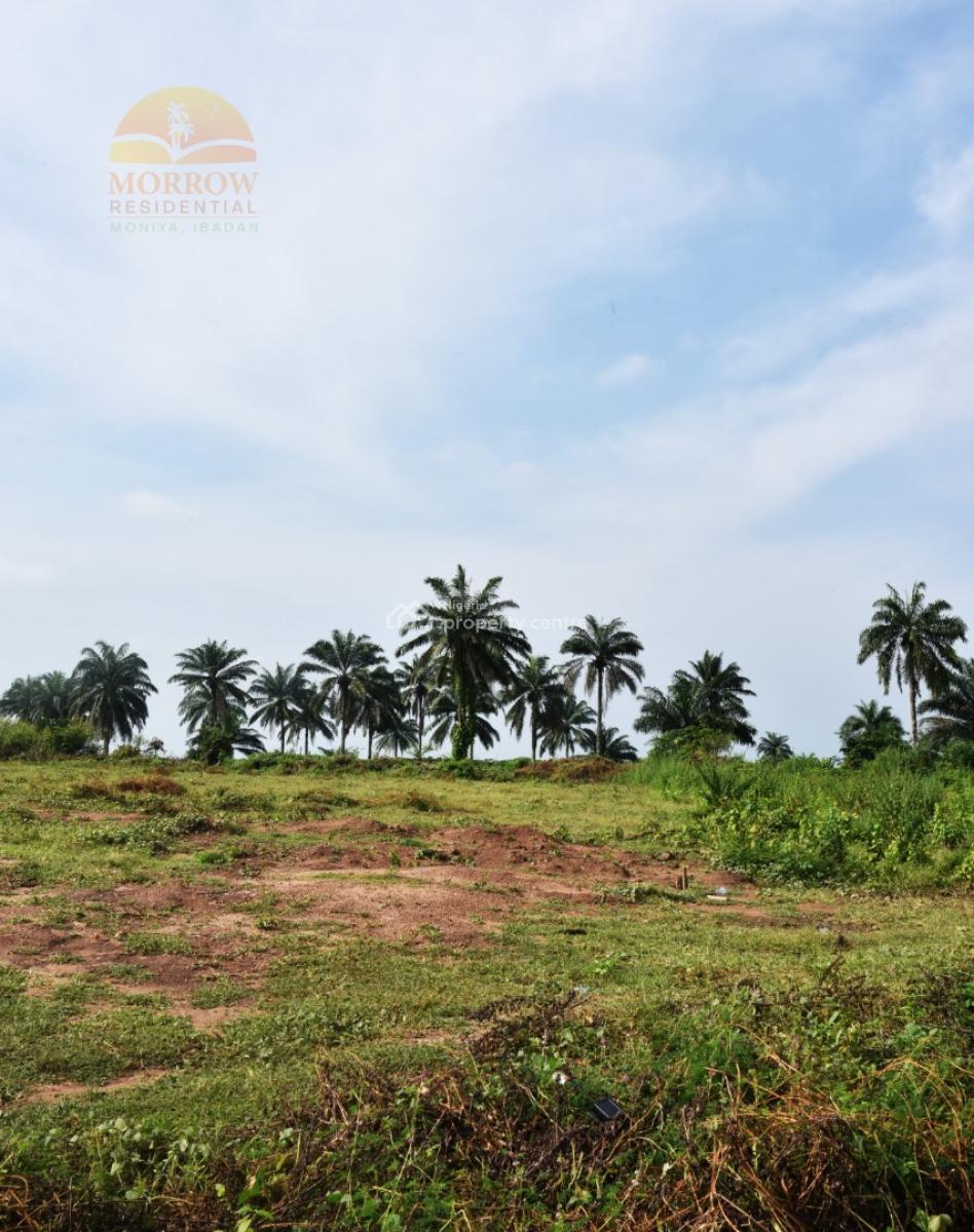 Land Banking Investment: Morrow Residential, for Sale Iseyin, Moniya, Ibadan, Oyo, Residential Land for Sale