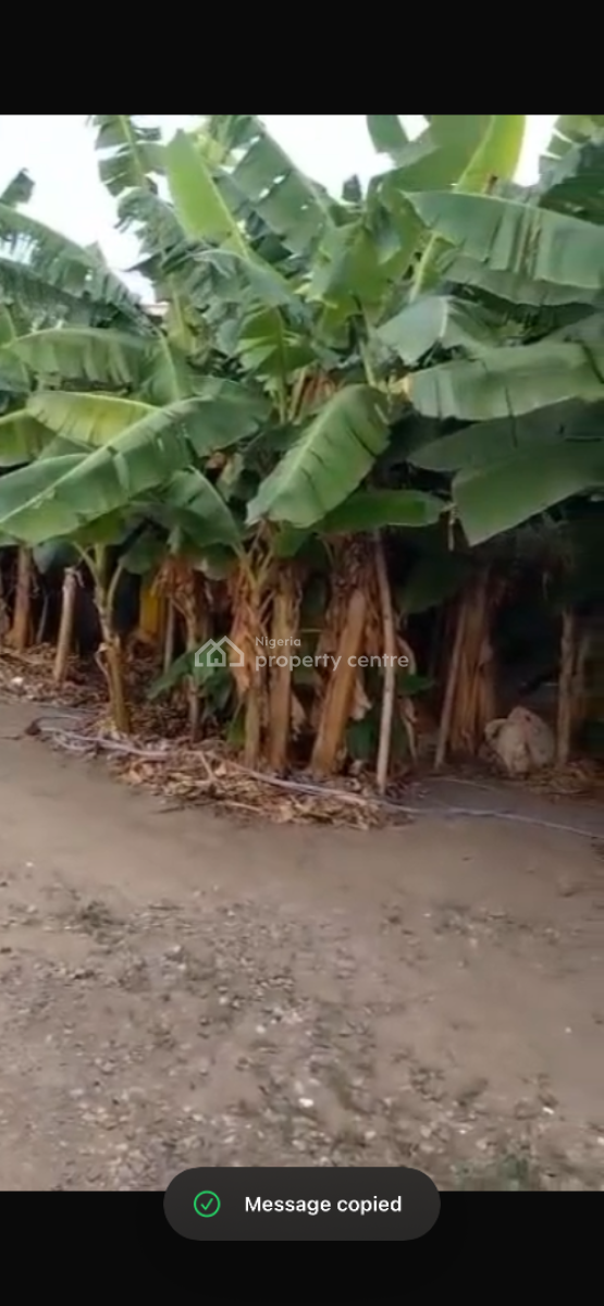 Dry Bare Land in an Estate, Atunrase Estate, Gbagada, Gbagada, Lagos, Residential Land for Sale