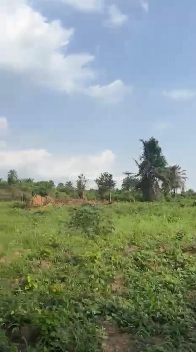 Lovely 10 Acres of Farmland, Baale Village,  Elekuru Area Off Moniya-iseyin Road, Moniya, Ibadan, Oyo, Commercial Land for Sale