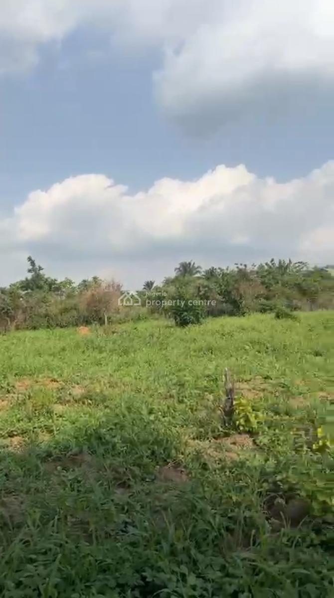 Lovely 10 Acres of Farmland, Baale Village,  Elekuru Area Off Moniya-iseyin Road, Moniya, Ibadan, Oyo, Commercial Land for Sale