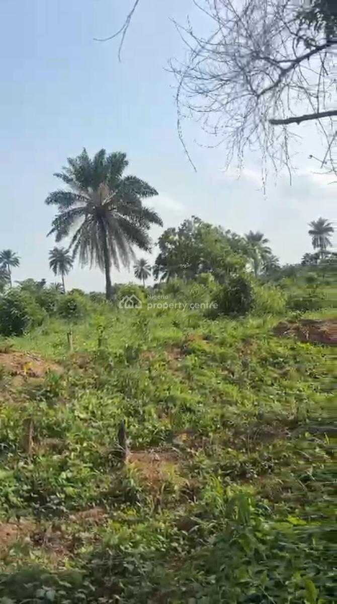 Lovely 10 Acres of Farmland, Baale Village,  Elekuru Area Off Moniya-iseyin Road, Moniya, Ibadan, Oyo, Commercial Land for Sale