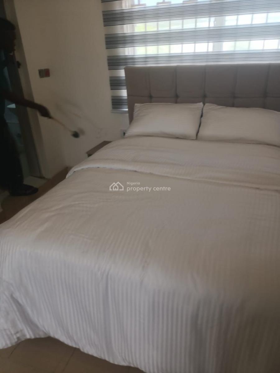 Exotically Furnished 6 Rooms with 2 Bq, Ilupeju, Lagos, Flat / Apartment for Rent