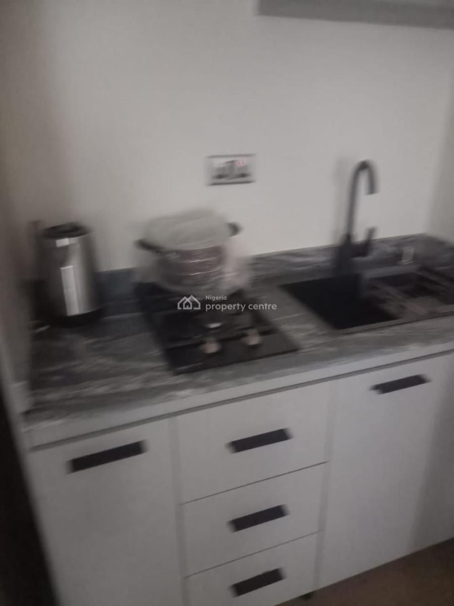 Exotically Furnished 6 Rooms with 2 Bq, Ilupeju, Lagos, Flat / Apartment for Rent