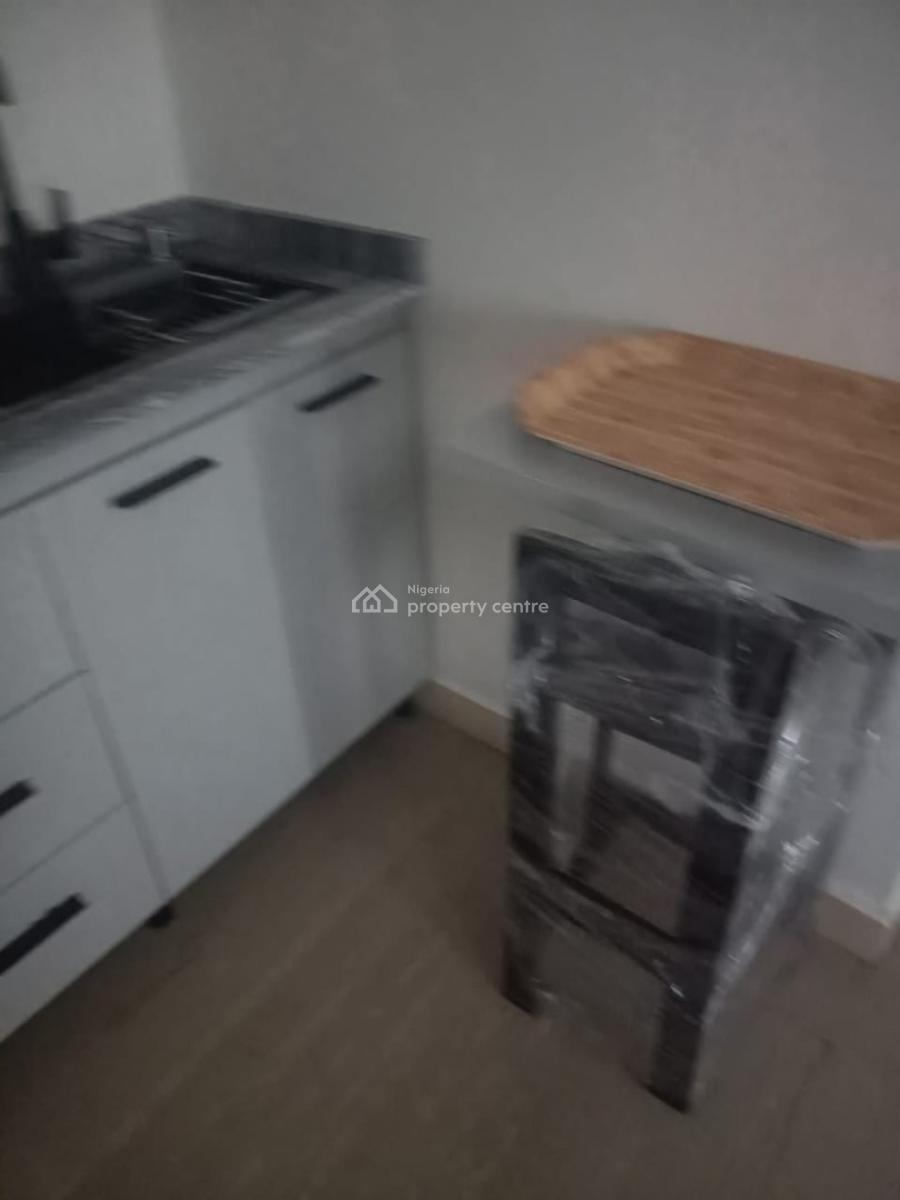 Exotically Furnished 6 Rooms with 2 Bq, Ilupeju, Lagos, Flat / Apartment for Rent