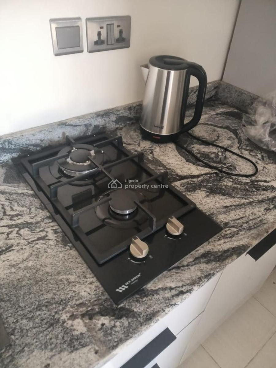 Exotically Finished 6 Rooms with 2 Bq, Ilupeju, Lagos, Flat / Apartment for Rent
