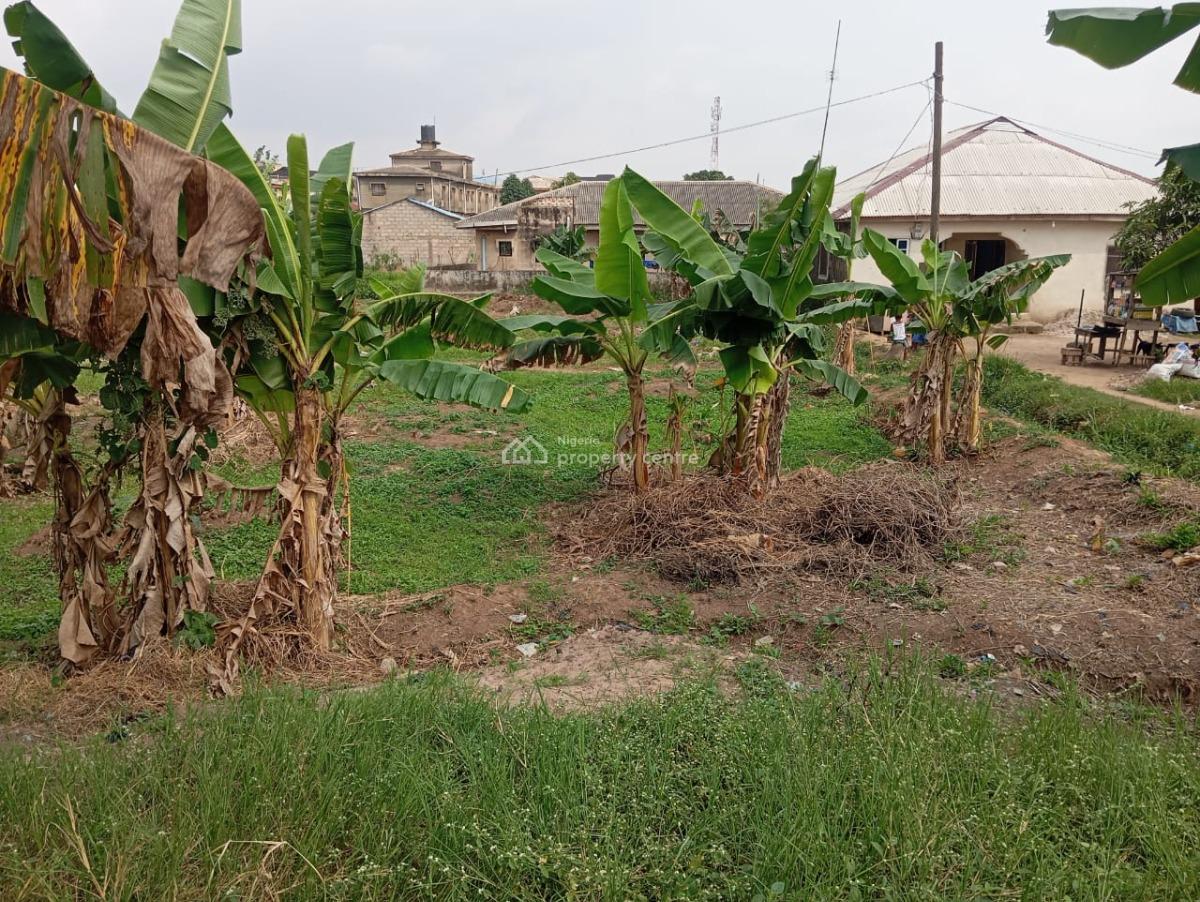 Standard Half Plot of Land, Ajegunle, Alimosho, Lagos, Residential Land for Sale