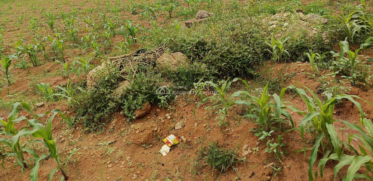 Prime Mixed-use Development Land of About 111.32 Hectares, Guzape District, Abuja, Mixed-use Land for Sale