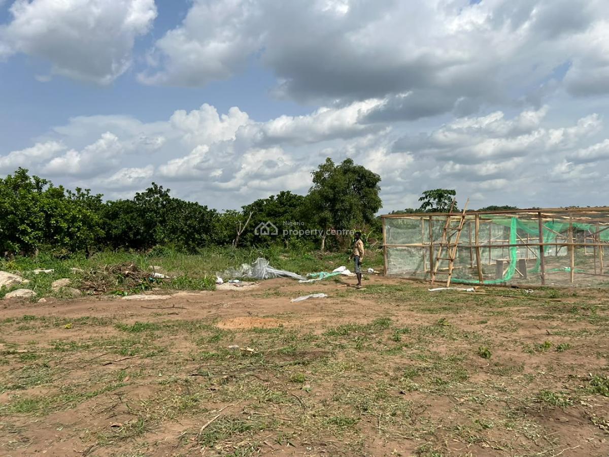 Build Wealth From Palm Oil Farming Without Becoming a Farmer!!!, Fully Managed Oil Palm Farmland with a Flexible Payment Plana Flex, Iseyin, Oyo, Mixed-use Land for Sale