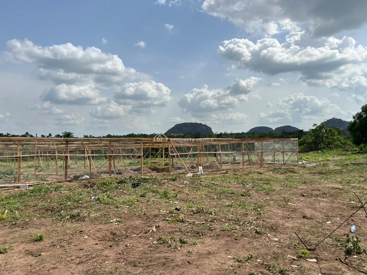 Build Wealth From Palm Oil Farming Without Becoming a Farmer!!!, Fully Managed Oil Palm Farmland with a Flexible Payment Plana Flex, Iseyin, Oyo, Mixed-use Land for Sale