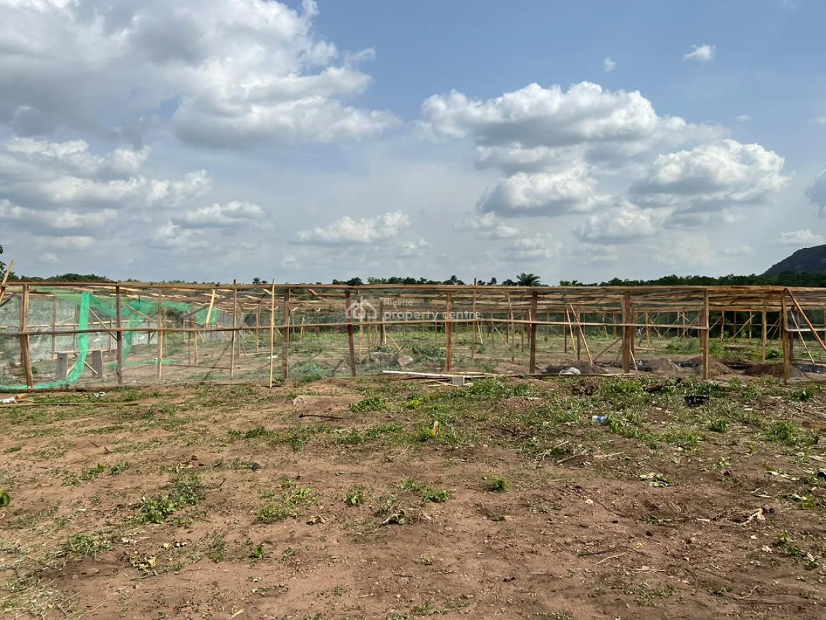 Build Wealth From Palm Oil Farming Without Becoming a Farmer!!!, Fully Managed Oil Palm Farmland with a Flexible Payment Plana Flex, Iseyin, Oyo, Mixed-use Land for Sale