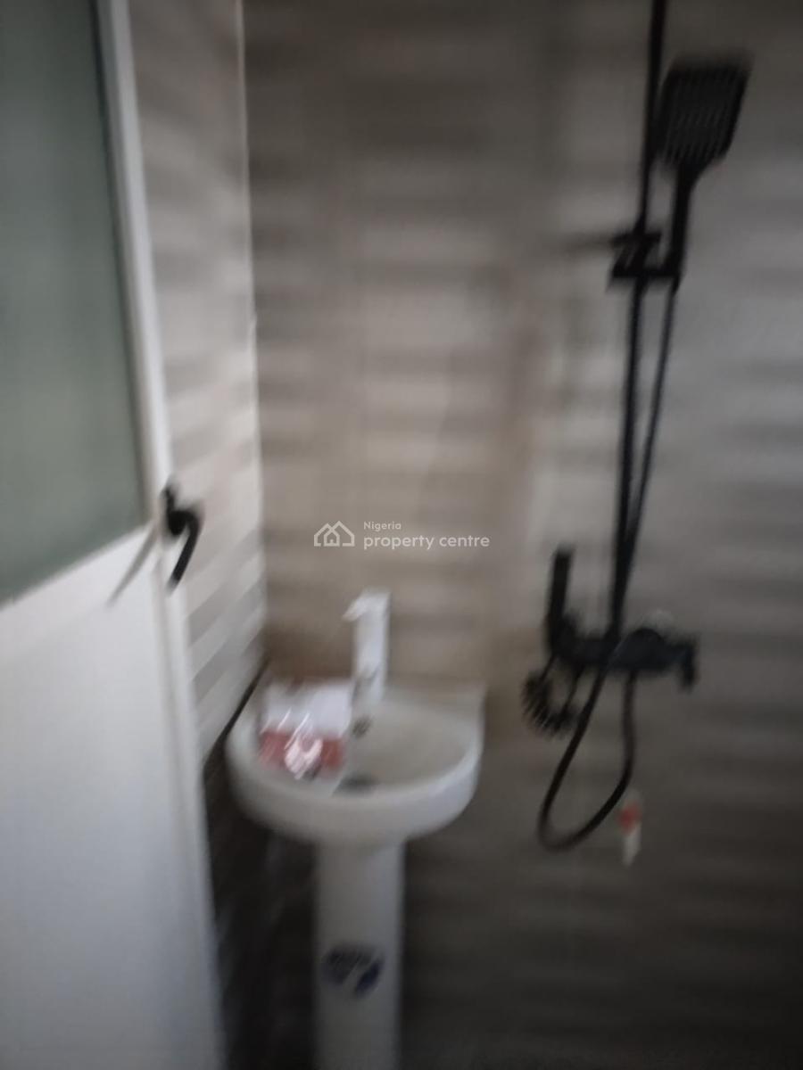 Massive Exclusive 2 Bedroom, Surulere, Lagos, Flat / Apartment for Rent