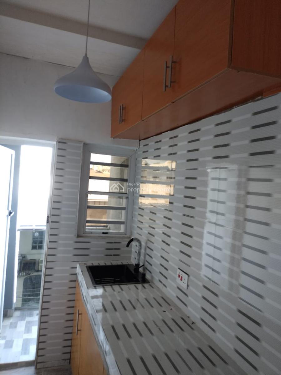 Massive Exclusive 2 Bedroom, Surulere, Lagos, Flat / Apartment for Rent