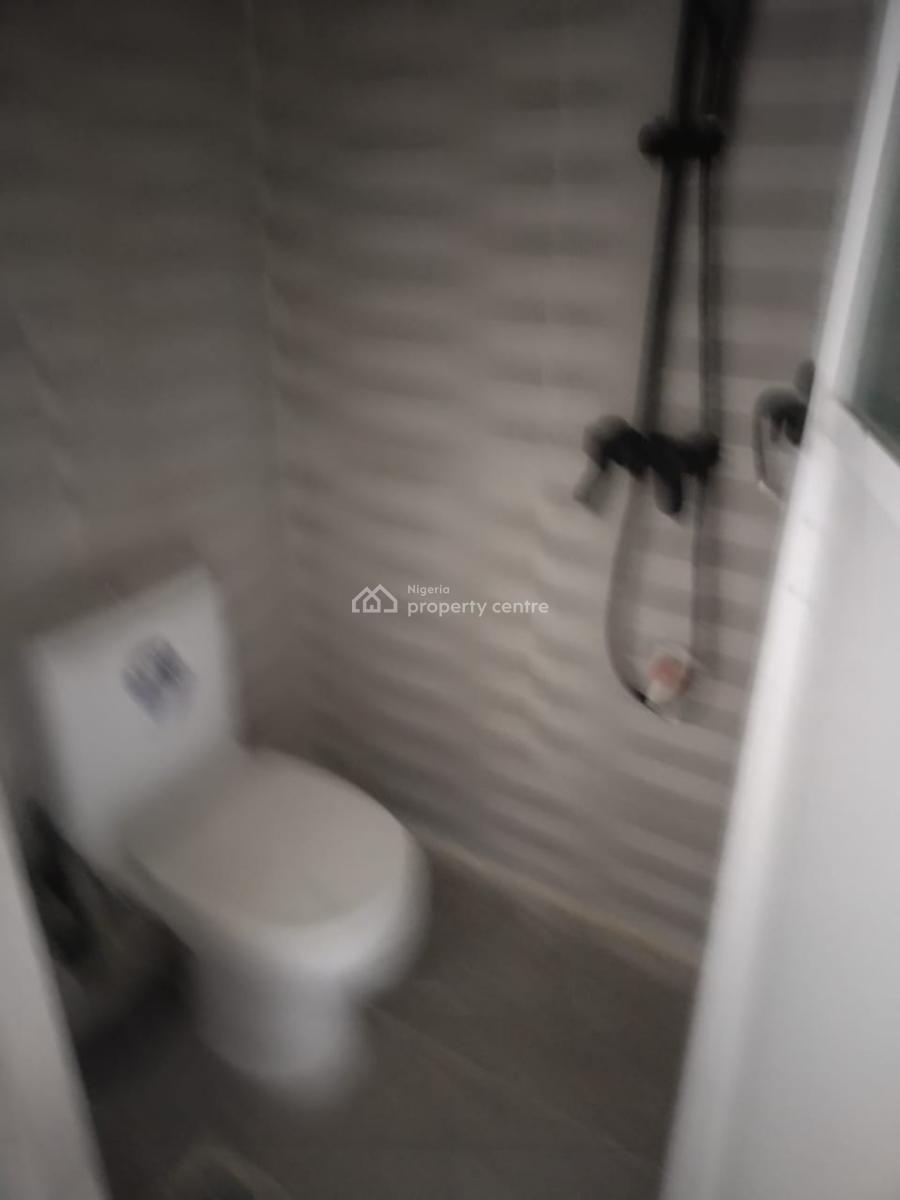 Massive Exclusive 2 Bedroom, Surulere, Lagos, Flat / Apartment for Rent