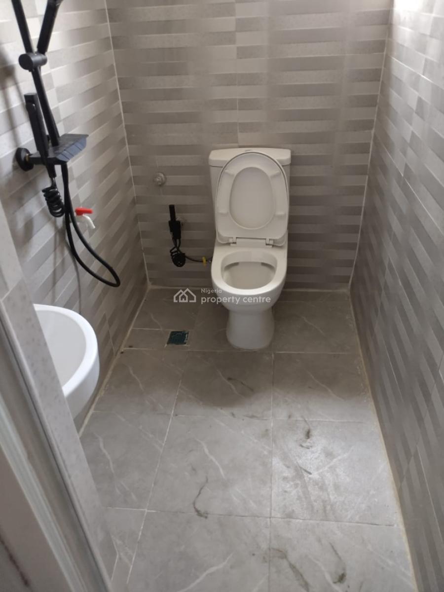 Massive Exclusive 2 Bedroom, Surulere, Lagos, Flat / Apartment for Rent