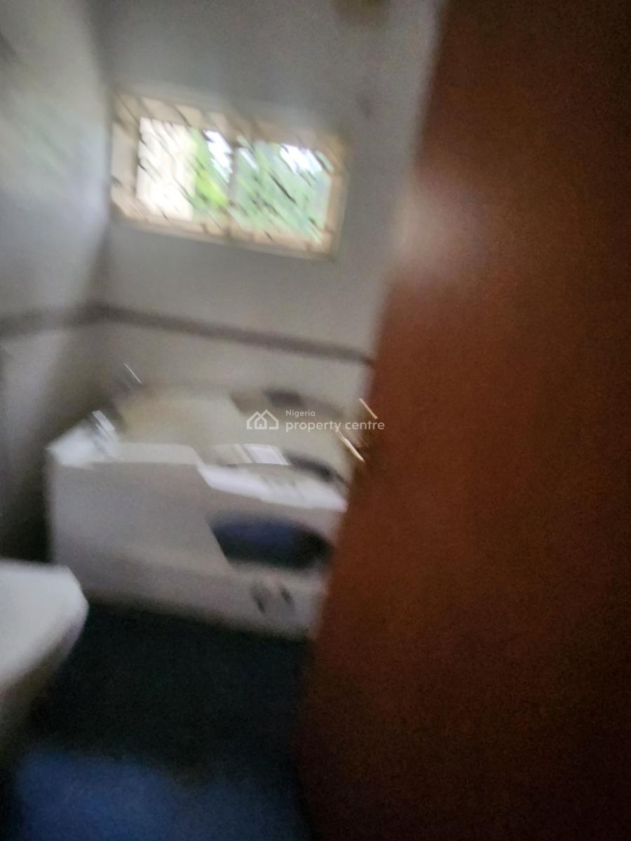 Ambassadorial 9bedroom Detached Duplex with 2rm Bq, Swim/pool, 20cars, Maitama Main( Tarred Rd), Maitama District, Abuja, Detached Duplex for Rent