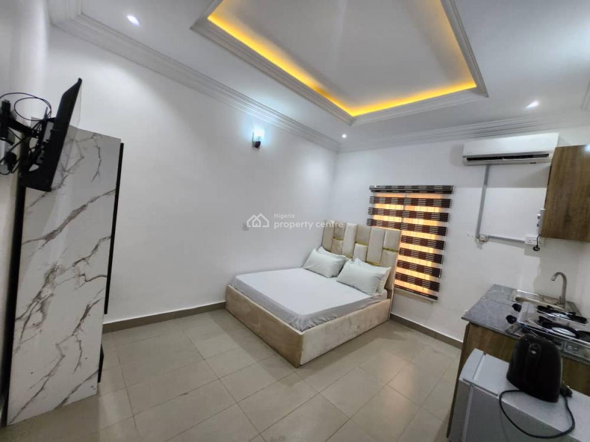 Self Contain Furnished Apartment, Jabi, Abuja, Flat / Apartment for Rent