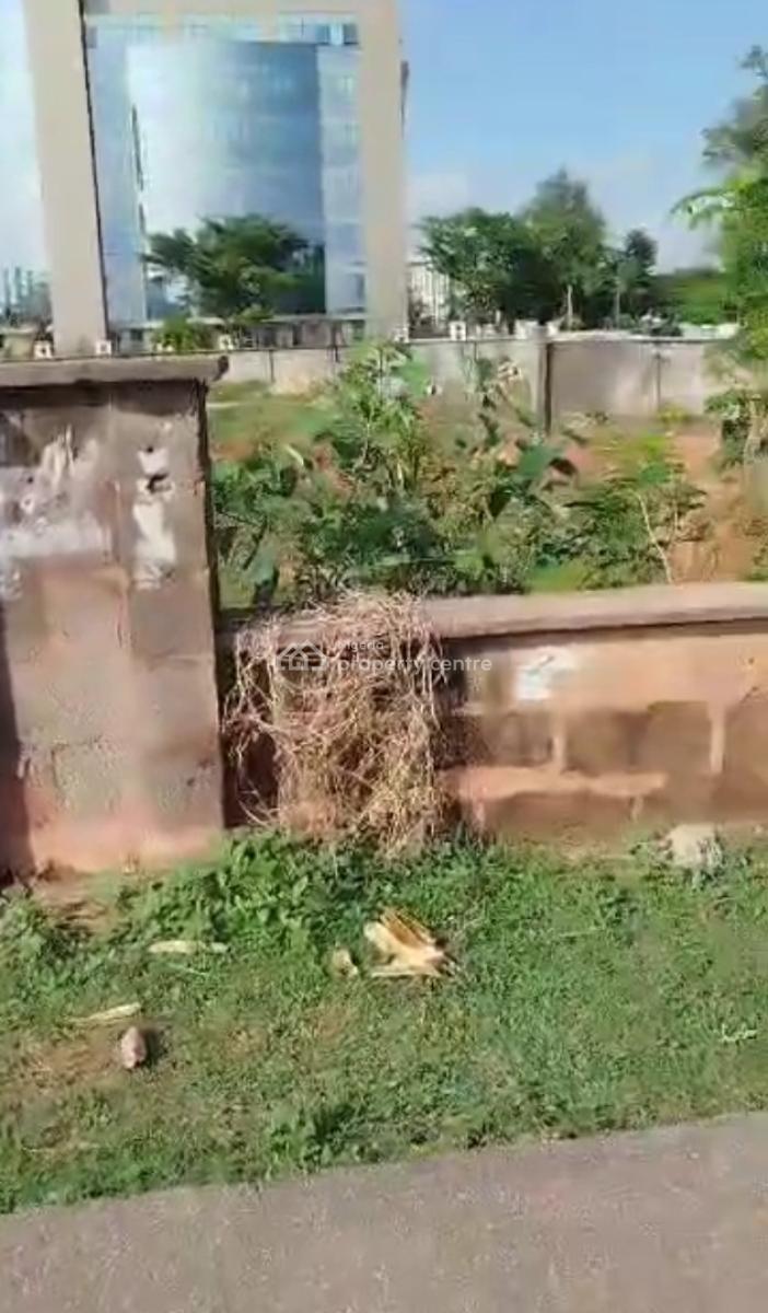 Fenced & Empty Strategic 4500sqm of Commercial Land with Cofo Opp Nba, Directly Opposite Nba, Beside Pdp Building, on Muhammadu Buhari Way, Central Business District, Abuja, Commercial Land for Sale