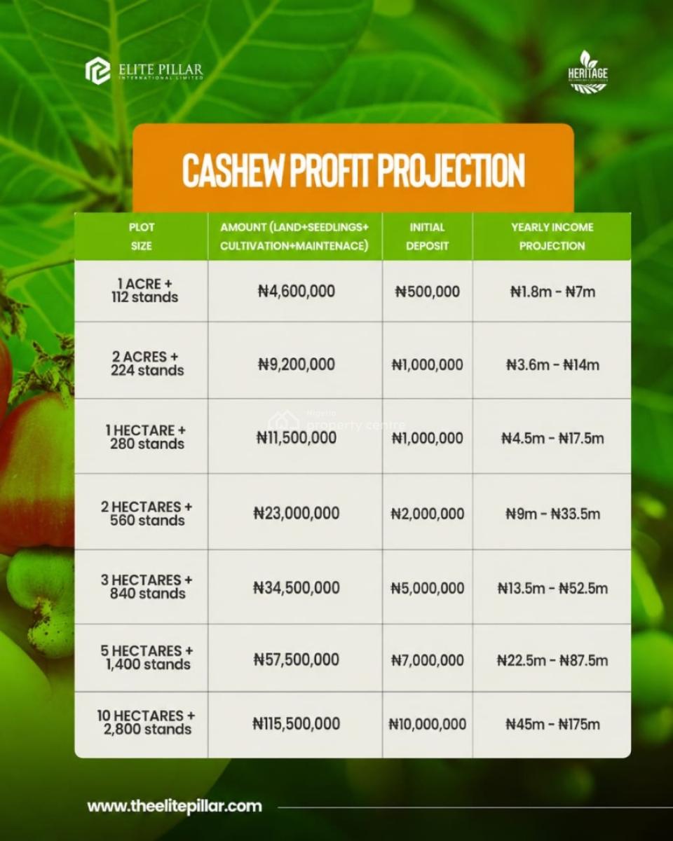 Own a Fully Managed Fertile Farmland & Earn Passively Steadily, Own Acres of Farmland Suitable for Several Forms of Crop Farming,, Abeokuta North, Ogun, Mixed-use Land for Sale