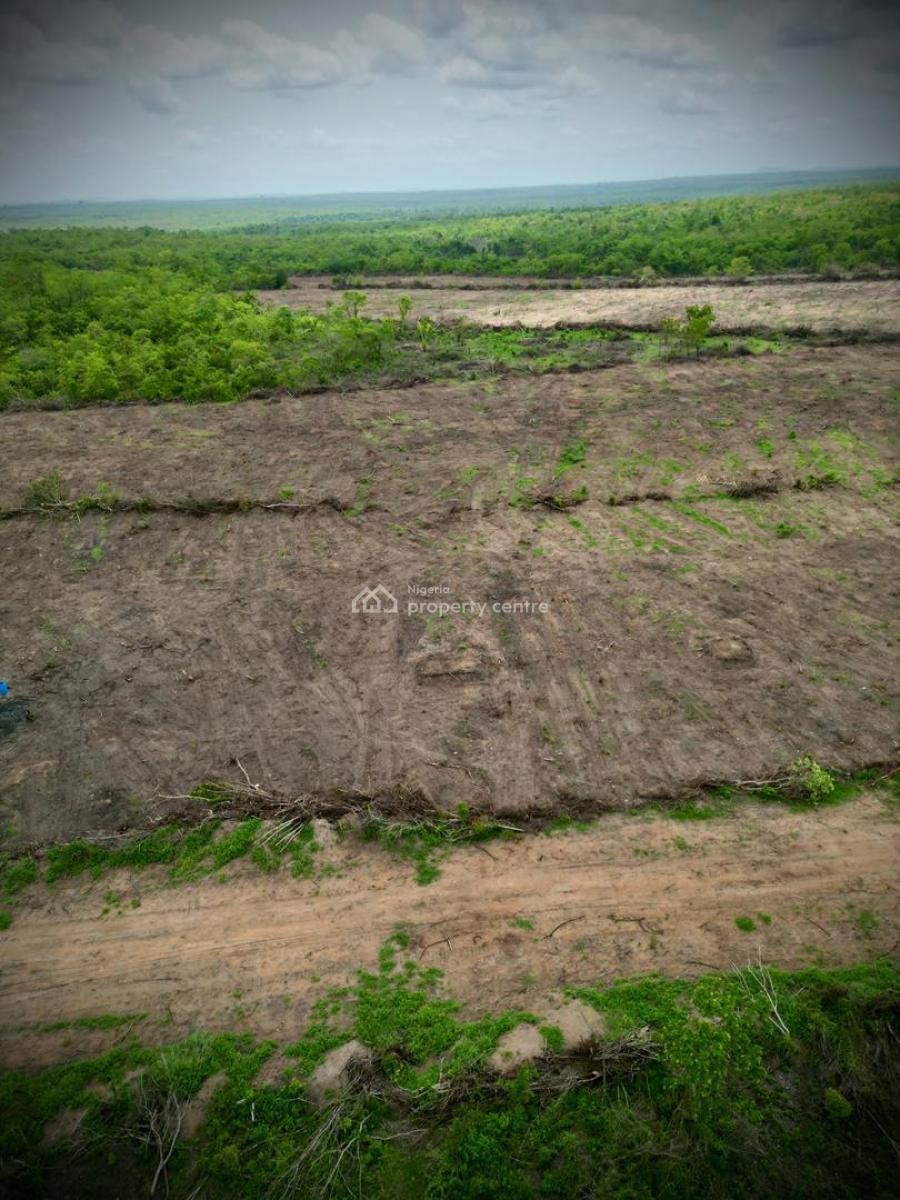Own a Fully Managed Fertile Farmland & Earn Passively Steadily, Own Acres of Farmland Suitable for Several Forms of Crop Farming,, Abeokuta North, Ogun, Mixed-use Land for Sale