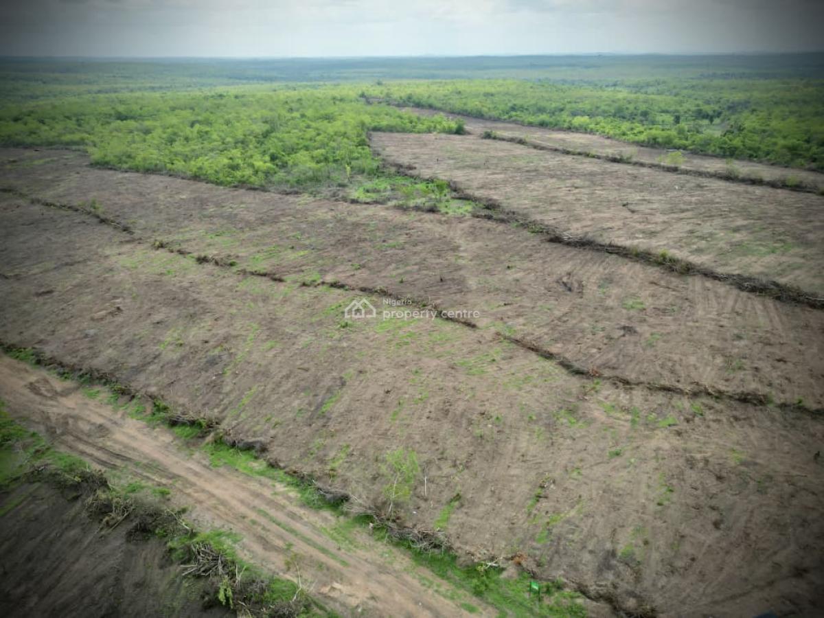 Own a Fully Managed Fertile Farmland & Earn Passively Steadily, Own Acres of Farmland Suitable for Several Forms of Crop Farming,, Abeokuta North, Ogun, Mixed-use Land for Sale