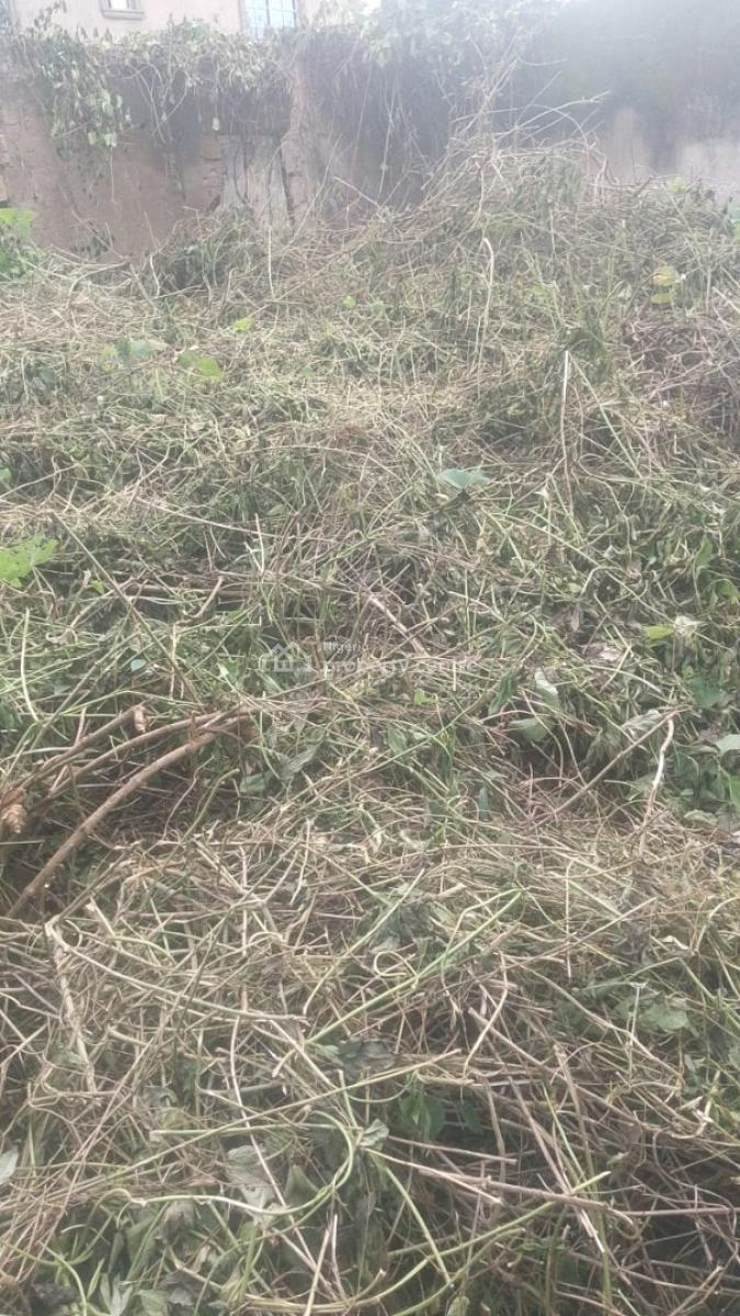 One Plot of Land, Yawiri, Akobo Ojurin, Ibadan, Oyo, Residential Land for Sale