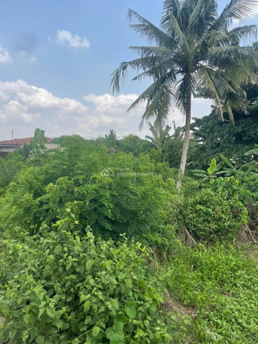 One Plot of Land, Yawiri, Akobo Ojurin, Ibadan, Oyo, Residential Land for Sale