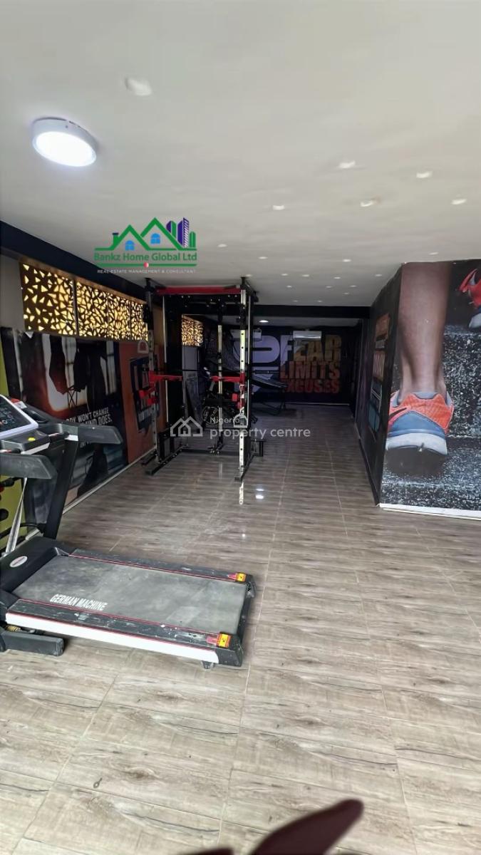 Contemporary 5bedroom Fully  Detached Duplex with a Bq, Ikoyi, Lagos, Detached Duplex for Sale