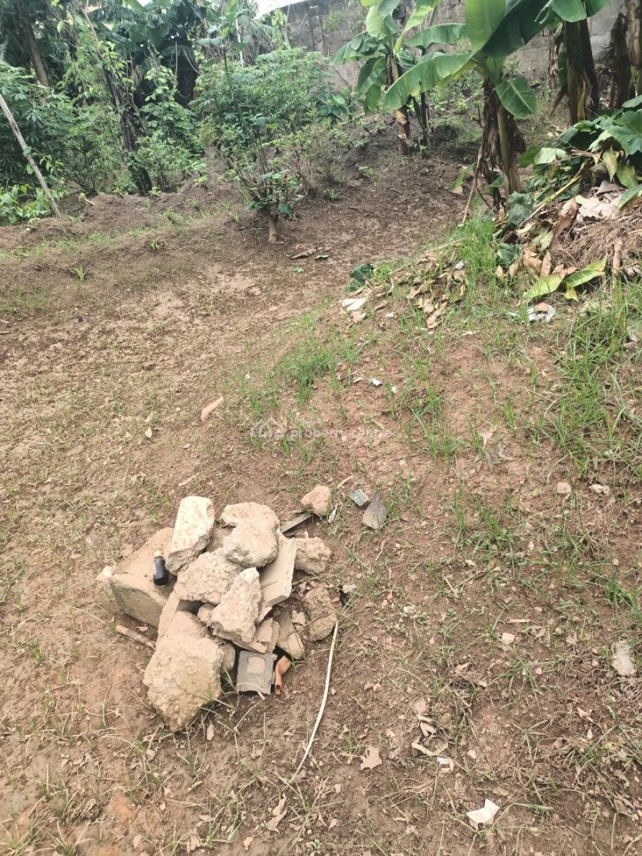 a Very Solid  and Very Dry Land of 625sqn, Thomas Ajufo Estate, Alimosho, Lagos, Residential Land for Sale