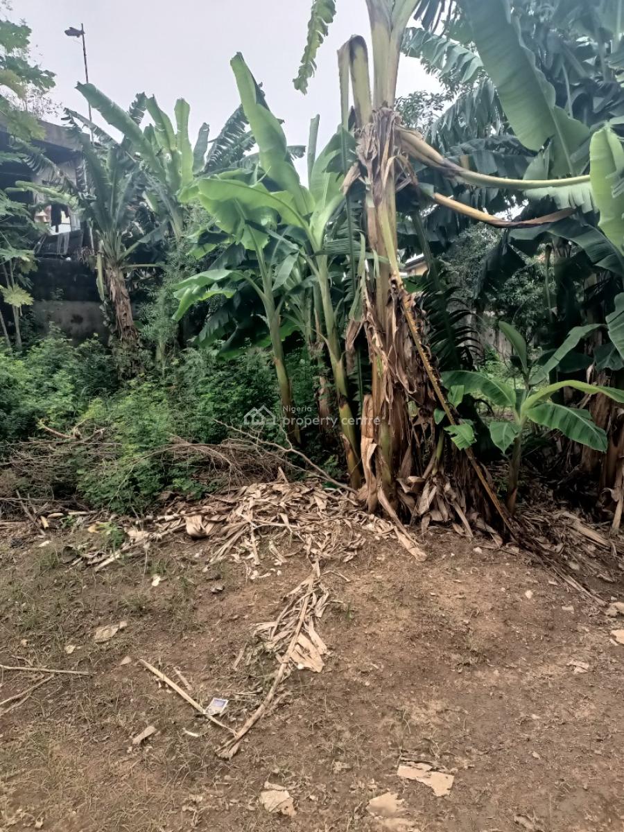 a Very Solid  and Very Dry Land of 625sqn, Thomas Ajufo Estate, Alimosho, Lagos, Residential Land for Sale