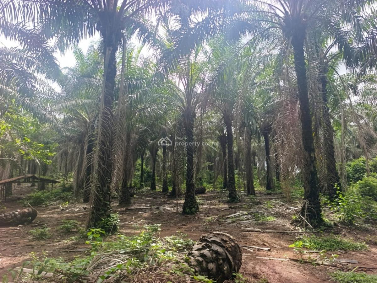 110 Acres of Farmland, Ilesa West, Osun, Land for Sale