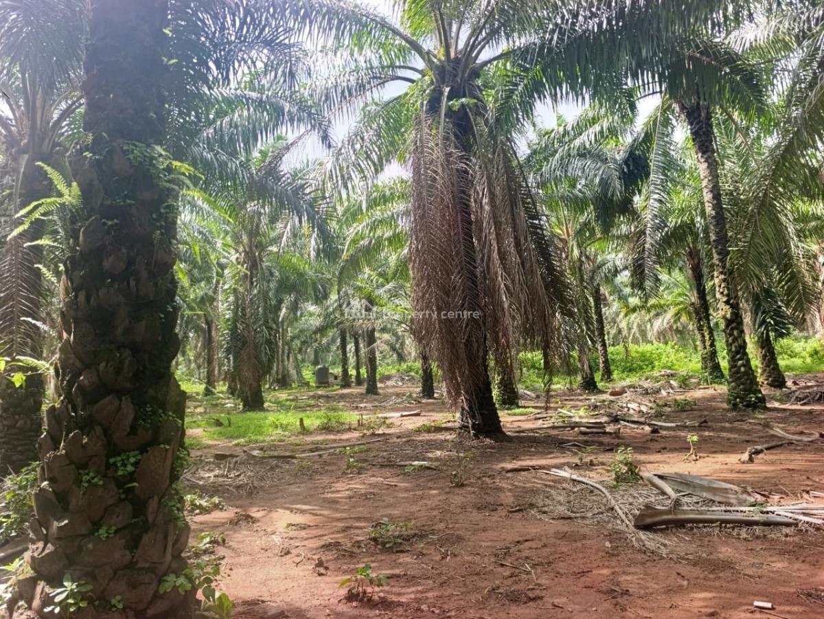 110 Acres of Farmland, Ilesa West, Osun, Land for Sale