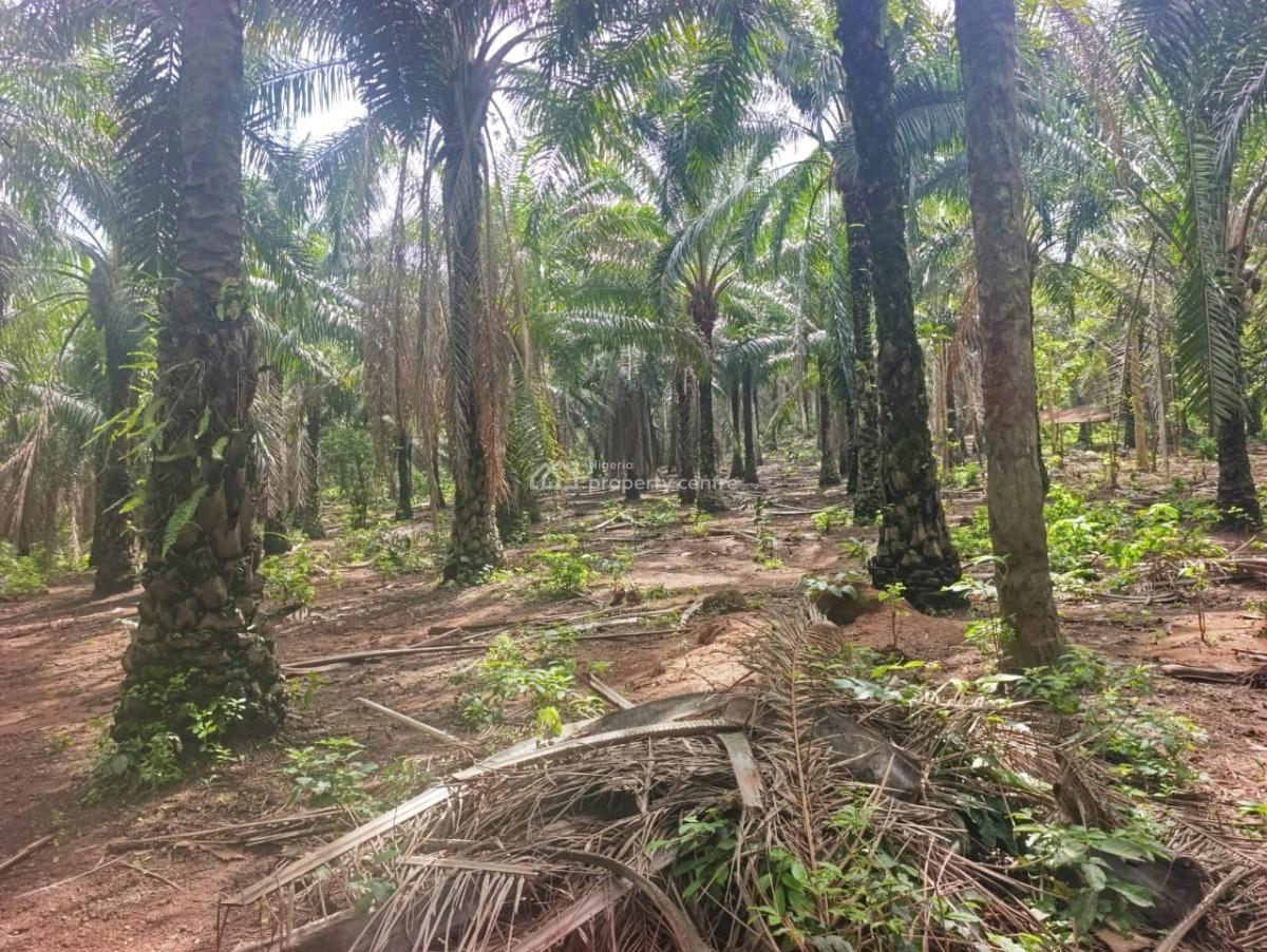 110 Acres of Farmland, Ilesa West, Osun, Land for Sale