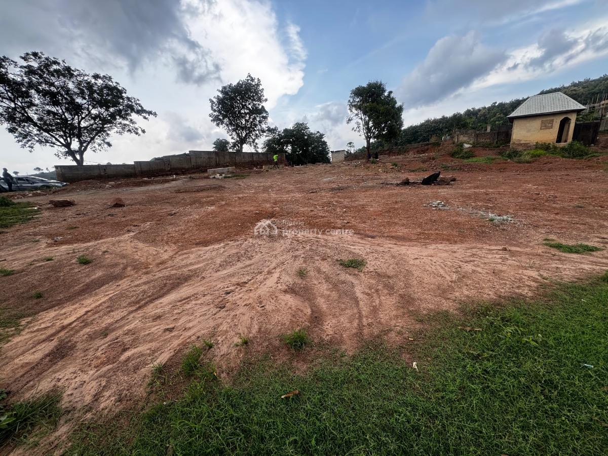 Great Investment Potential with High Appreciation Value, Asokoro District, Abuja, Residential Land for Sale