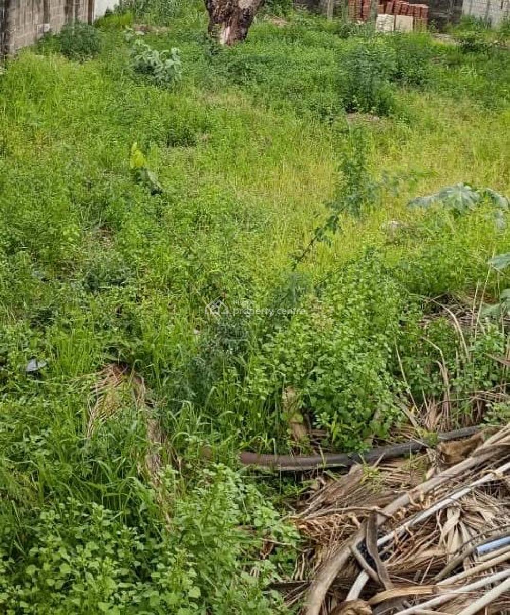 1278sqm Land, Along The Expressway Way, Ikate, Lekki, Lagos, Commercial Land for Sale